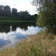 Endroit de Camping n°2 : L'emplacement c'est sacré