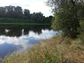 Endroit de Camping n°2 : L'emplacement c'est sacré Endroit de Camping n°2 : L'emplacement c'est sacré